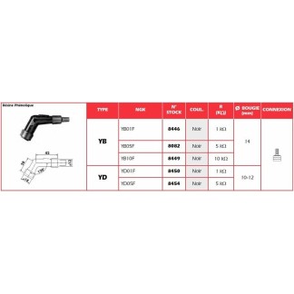 Bujía NGK PIPA | Recambio moto