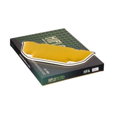 FILTRO DE AIRE HIFLOFILTRO HFA2905