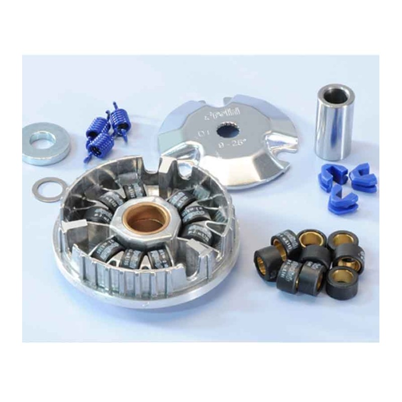 VARIADOR POLINI S.SPEED MALAGUTI F12 (241648)