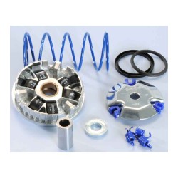 VARIADOR POLINI HI-SPEED MALAGUTI F12 (2000) (241675)