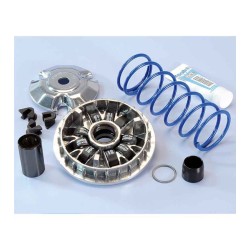 VARIADOR POLINI HONDA 125 PCX 9 RODILLOS (241697)