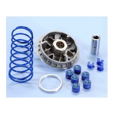VARIADOR POLINI HONDA FORESIGHT 250 (241605)