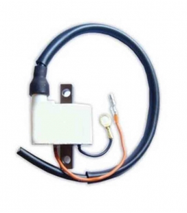 BOBINA DE ENCENDIDO DZE 4021 BOBINA DE ENCENDIDO DZE 4021