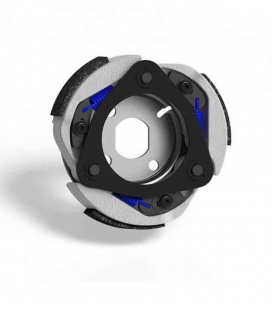 EMBRAGUE MALOSSI MAXI DELTA REGULABLE SH125 5212487 EMBRAGUE MALOSSI MAXI DELTA REGULABLE SH125 5212487