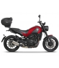 TOP MASTER BENELLI LEONCINO 502