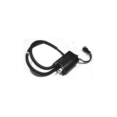 BOBINA DE ENCENDIDO TOUR MAX IGN-301