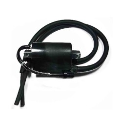 BOBINA DE ENCENDIDO TOUR MAX IGN-313