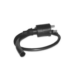 BOBINA DE ENCENDIDO DZE 4018