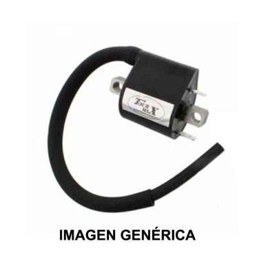 BOBINA DE IGNICION TOUR MAX IGN-423