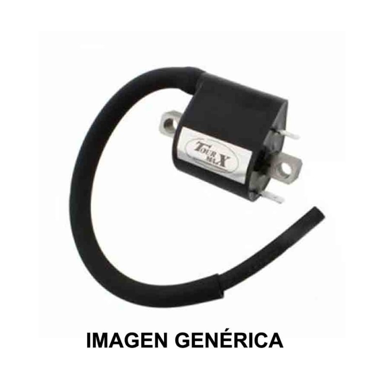 BOBINA DE IGNICION TOUR MAX IGN-423