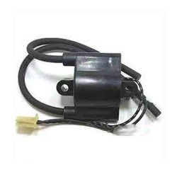 BOBINA DE IGNICION TOUR MAX IGN-308