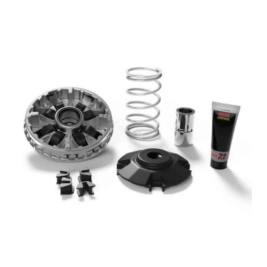 VARIADOR MULTIVAR KYMCO XCITING 400 17'