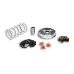 VARIADOR MULTIVAR MALOSSI 2000 HONDA LEAD 110