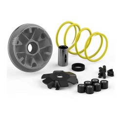 VARIADOR MALOSSI MULTIVAR HONDA SFX SH SXR 50