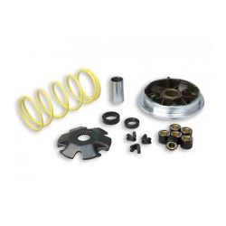 VARIADOR MULTIVAR MALOSSI SYM GTS/SYMPHONY 125 PGT TWEET 125 5113597