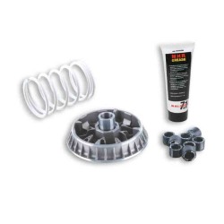 VARIADOR MULTIVAR MALOSSI SUZ. BURGMAN 400 10-15 5116277