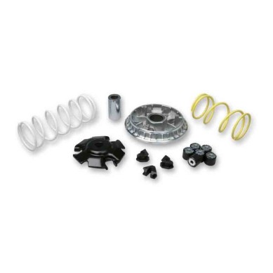 VARIADOR MULTIVAR MALOSSI HONDA FORZA/SH 125 13-
