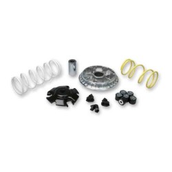 VARIADOR MULTIVAR MALOSSI HONDA FORZA/SH 125 13-