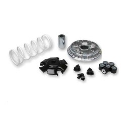 VARIADOR MULTIVAR MALOSSI SUZ. BURGMAN/EPICURO 125 SIXTEEN 125 5111324