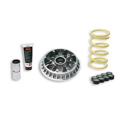 VARIADOR MULTIVAR MALOSSI SUZ. BURGMAN 400 99-06 5114258