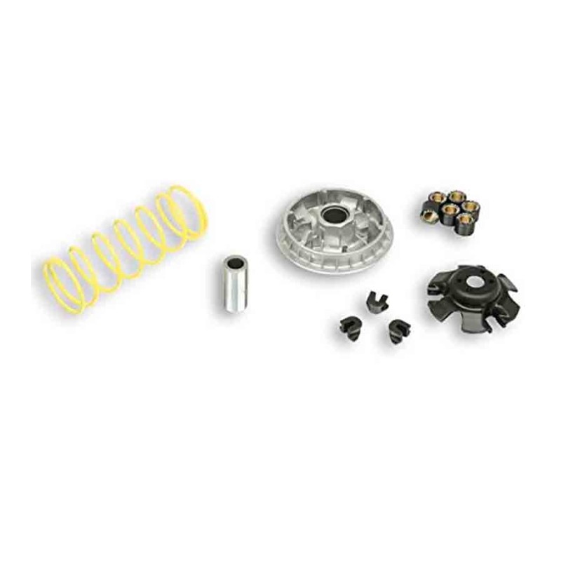 VARIADOR MULTIVAR MALOSSI SYM GTS/SYMPHONY 125 PGT TWEET 125