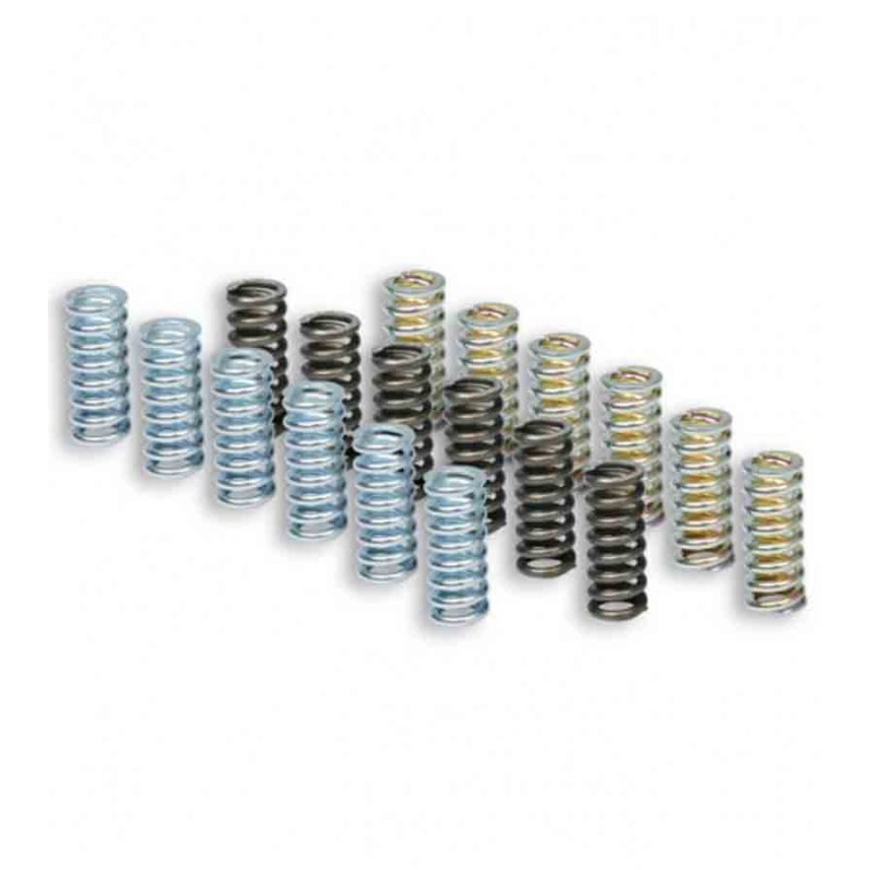 SET 9 MUELLES MHR MALOSSI PARA EMBRAGUE OEM 2915398