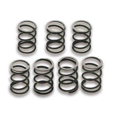 MUELLES EMBRAGUE MALOSSI (X7)VESPA COSA/PX E 200-T5 125 29 4586