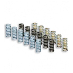 KIT MUELLES DE EMBRAGUE MALOSSI RACING YAMAHA T-MAX 500 2913327