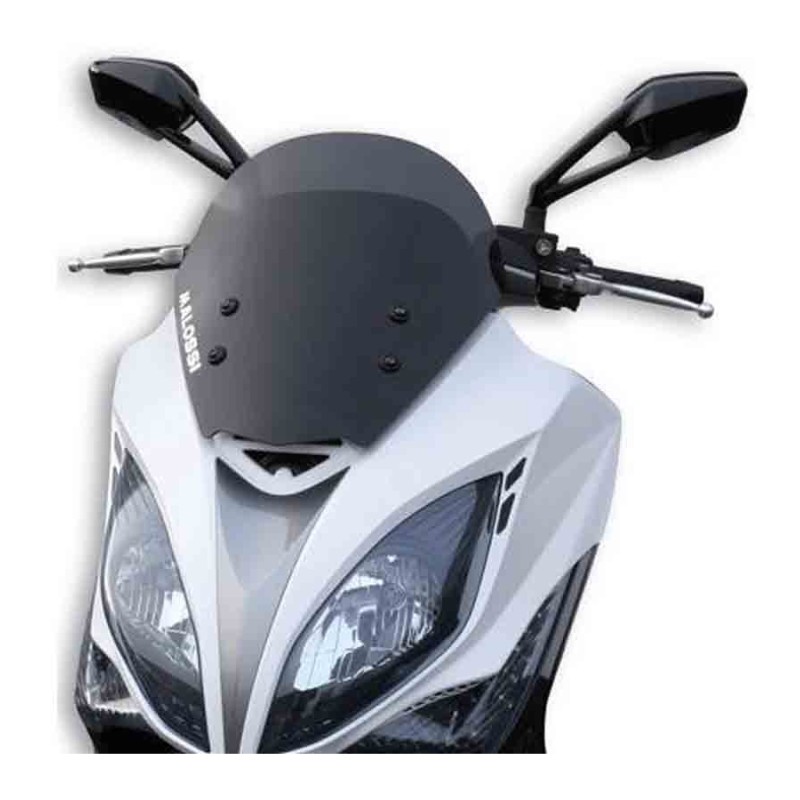 PANTALLA MALOSSI SPORT AHUMADA XCITING 400