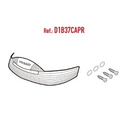 RE.CATAD. PINTADO SH37 2012