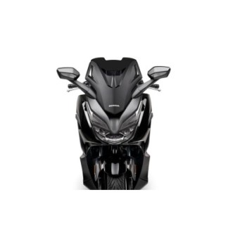 Pantalla MALOSSI Sport Honda Forza 124 - 350 4519198