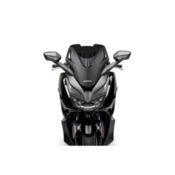 Pantalla MALOSSI Sport Honda Forza 124 - 350 4519198