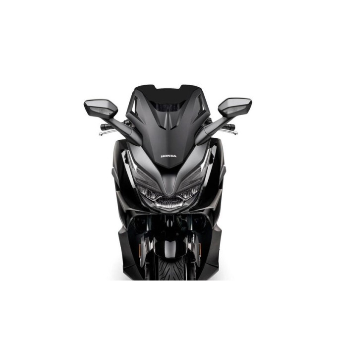 Pantalla MALOSSI Sport Honda Forza 124 - 350 4519198