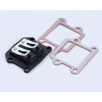 CAJA DE LÁMINAS POLINI | Recambio original