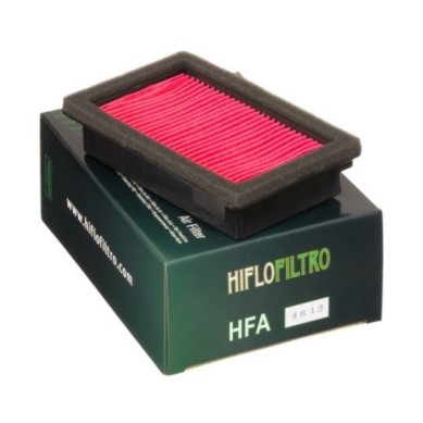 Filtro de aire HIFLOFILTRO - HFA4613 | Hiflofiltro Original