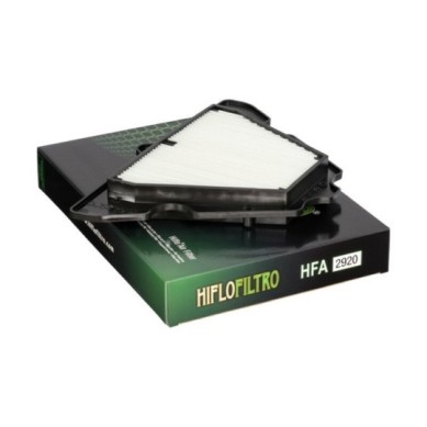 Filtro de aire HIFLOFILTRO - HFA2920 | Hiflofiltro Original