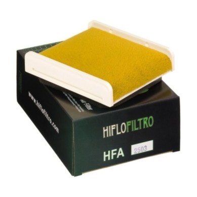 Filtro de aire HIFLOFILTRO - HFA2503 | Hiflofiltro Original