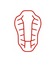 Espalderas y protectores