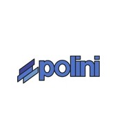 Polini