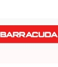 Barracuda