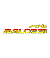 Malossi